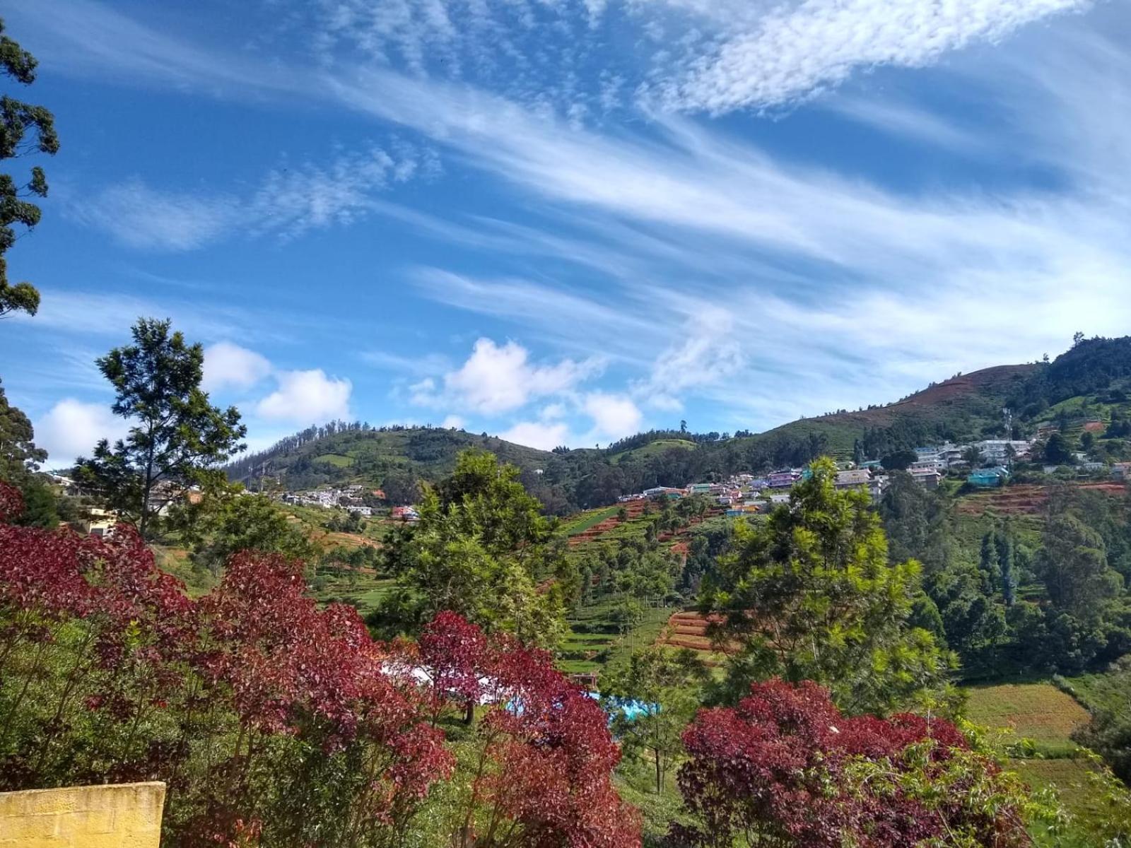 Homestay Valley Homes Ooty