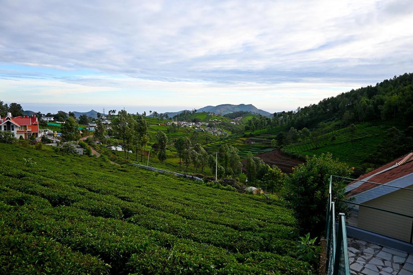 Fern Bed & Breakfast Ooty