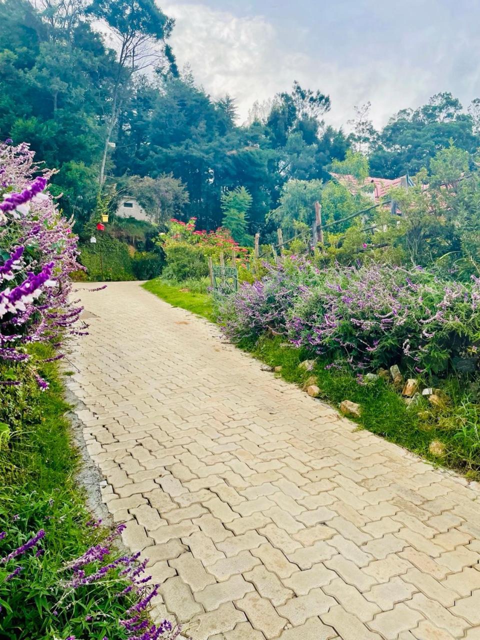 Bed & Breakfast Stumpfields Ooty