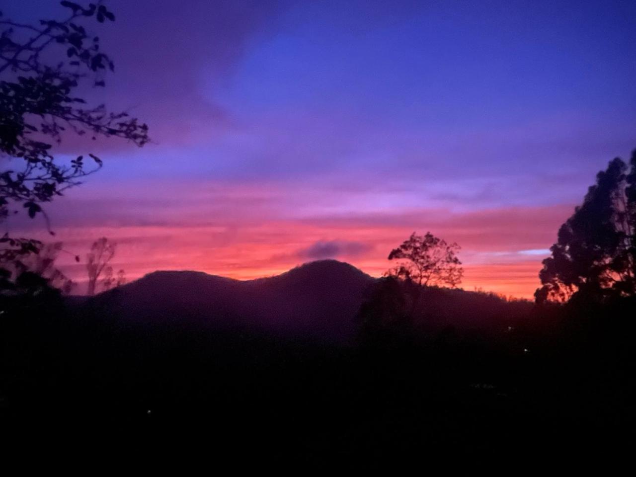 Stumpfields Ooty