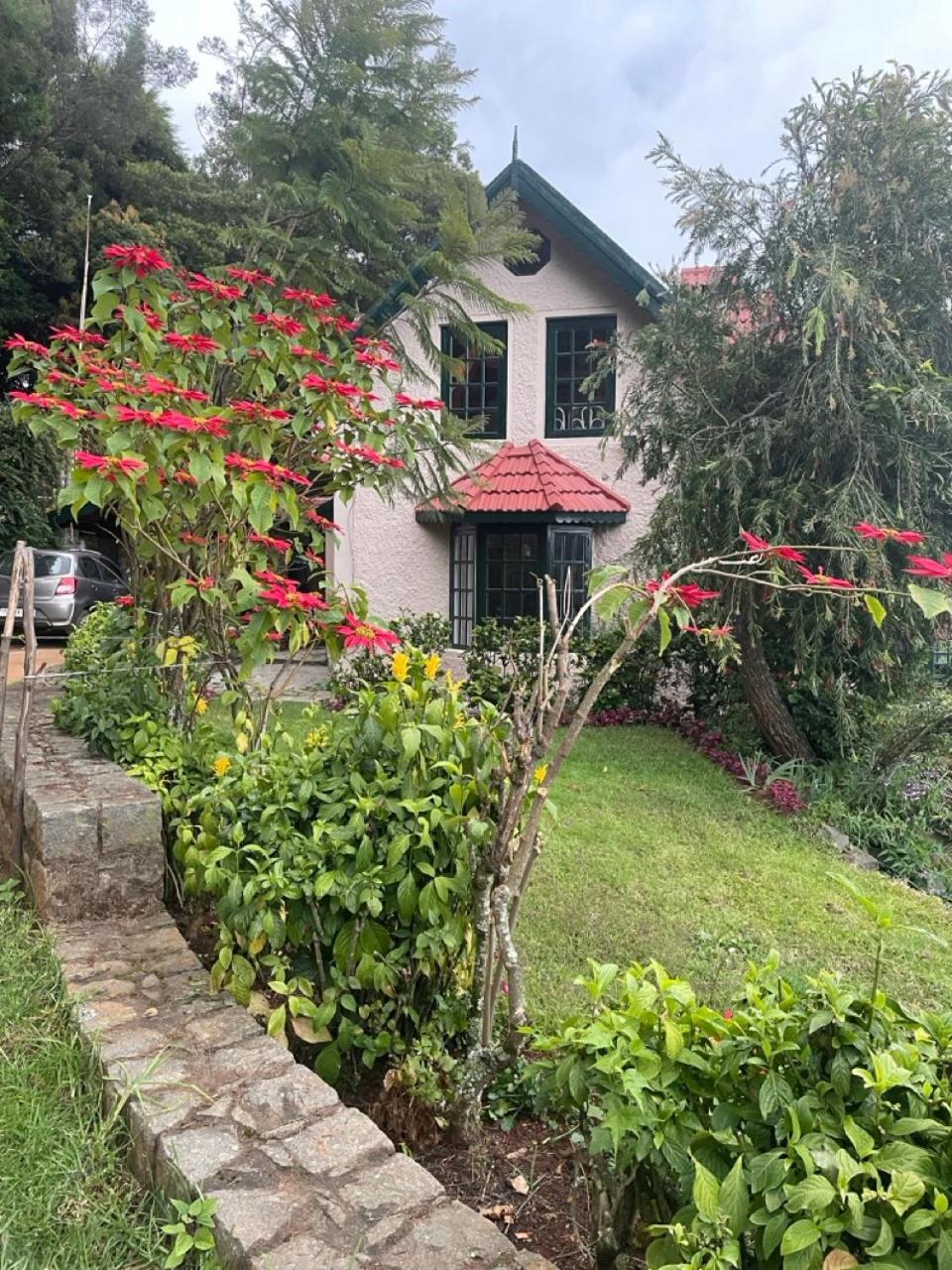 Stumpfields Ooty