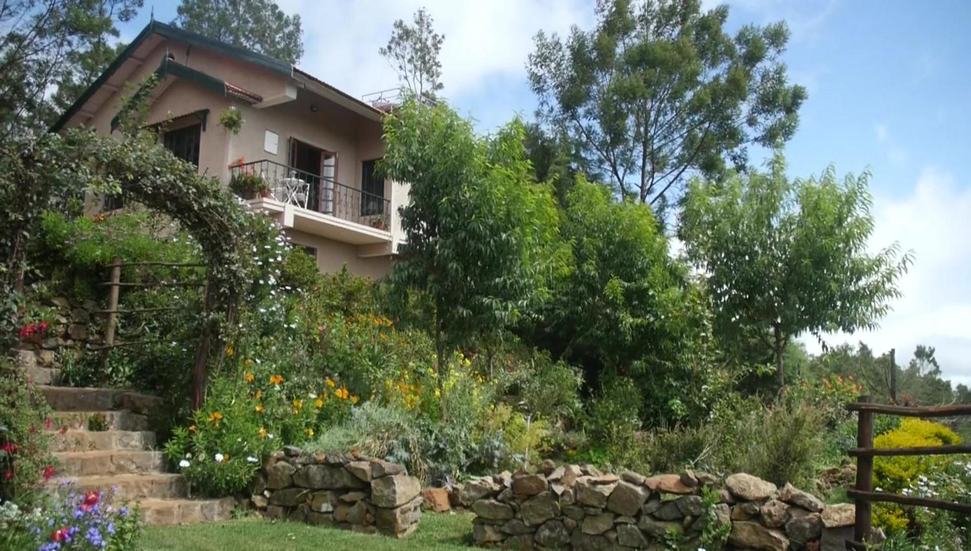 Stumpfields * Ooty