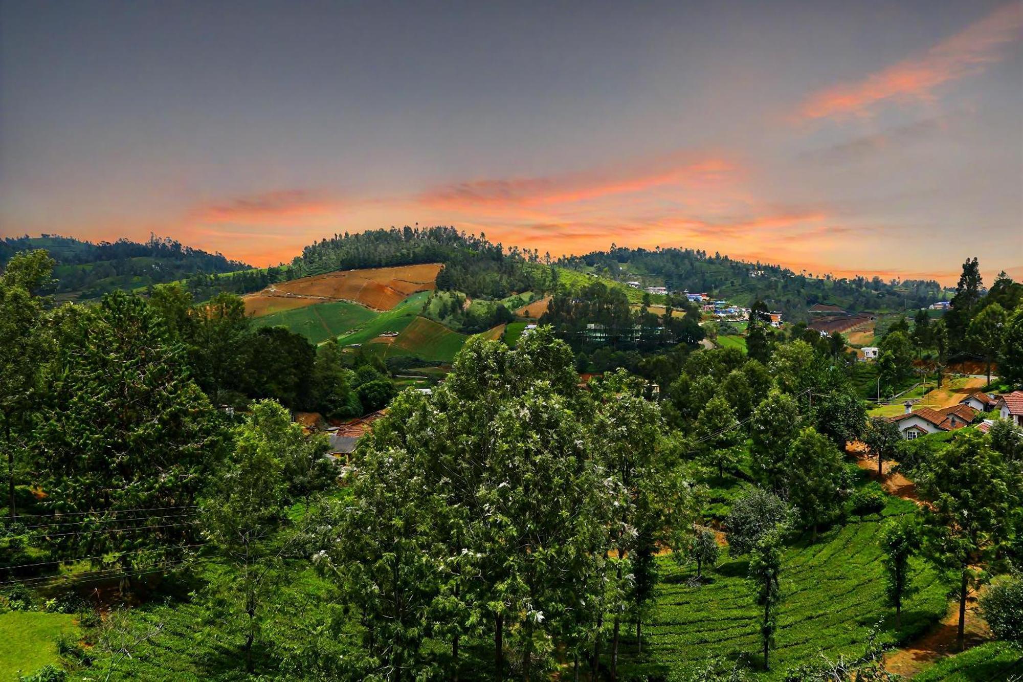 Hills Cottage- Annexe Bed & Breakfast Ooty