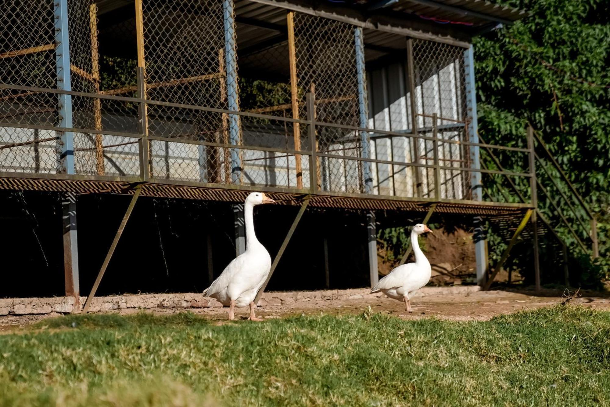 Virgin Valley Leisure Resort