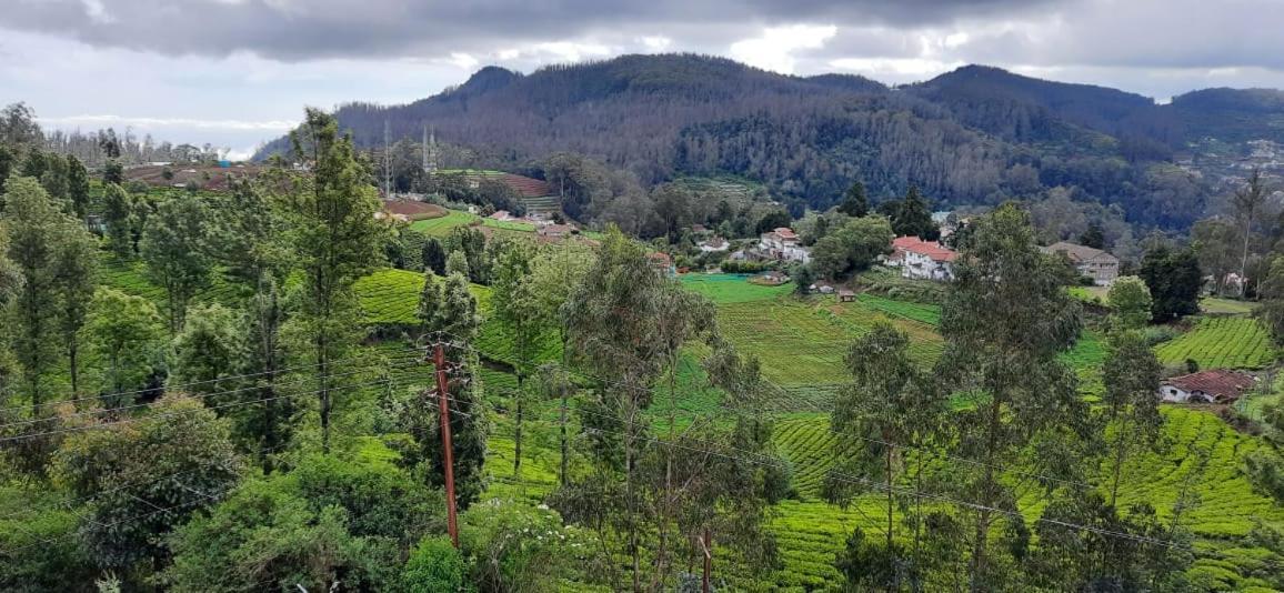 The Monarch 3* Ooty