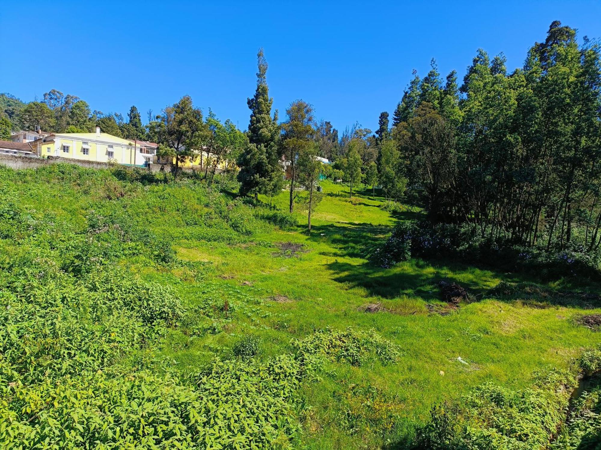 Euphoria Guest house Ooty