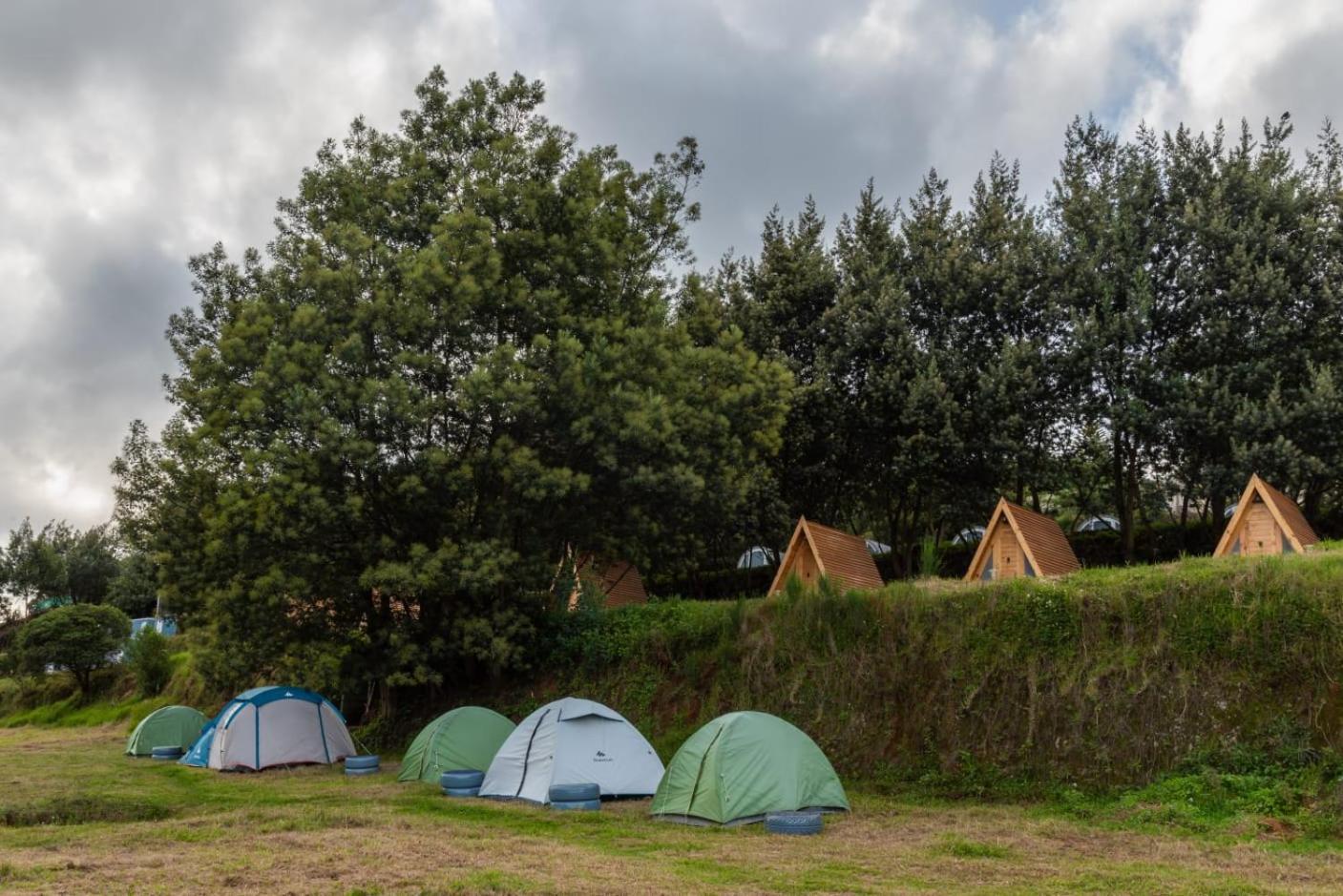 Aventura Fern Hill- Aala Luxury tent *
