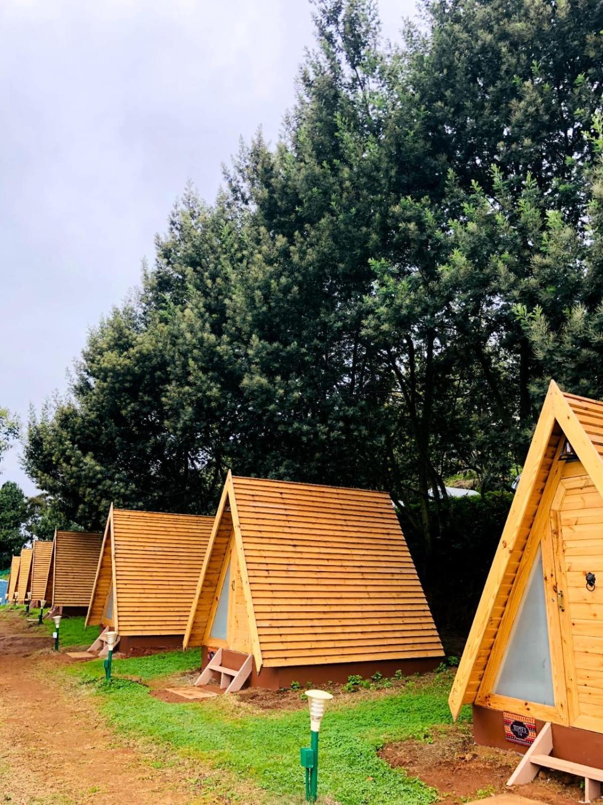 Aventura Fern Hill- Aala Luxury tent *