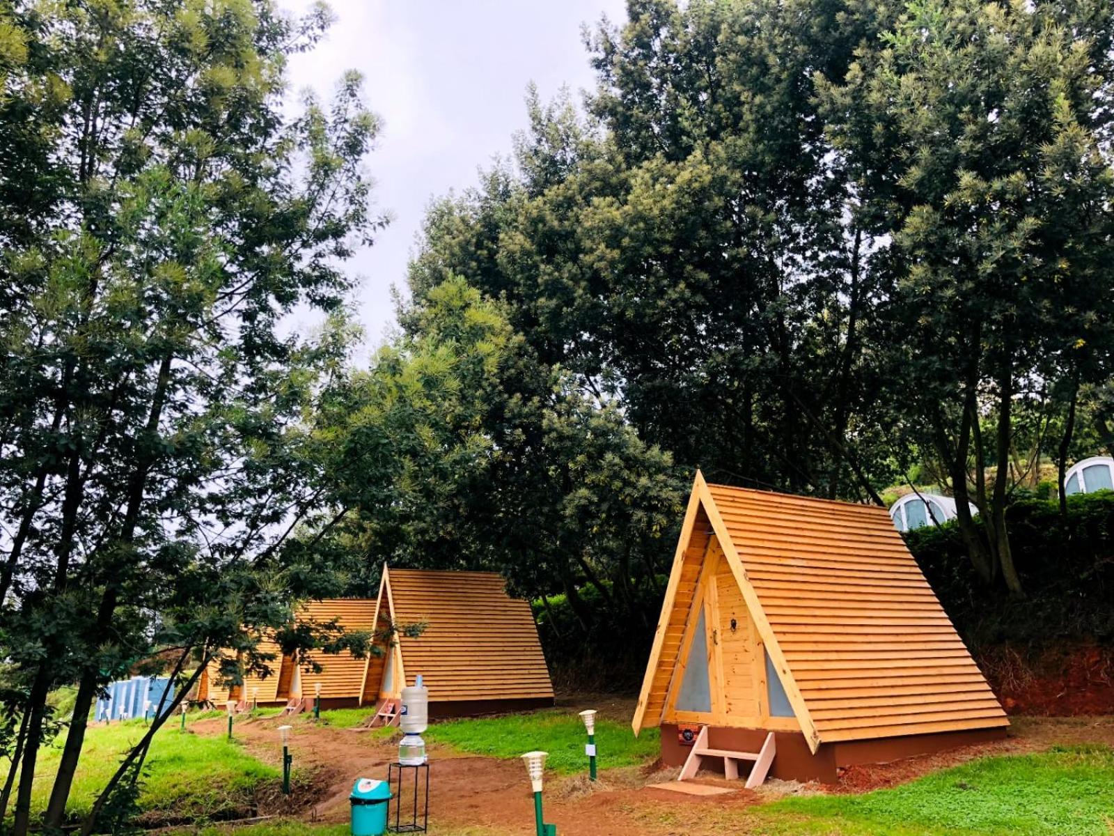 Aventura Fern Hill- Aala Ooty