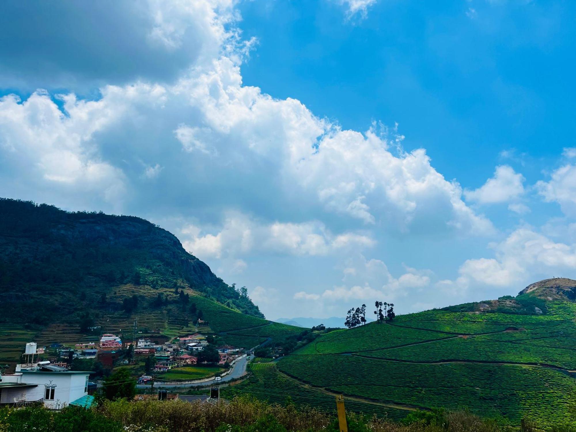 Away From - 1 - In Ooty, Homestay Ooty