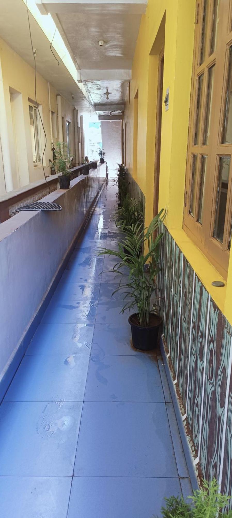 Cat Homestay Ooty