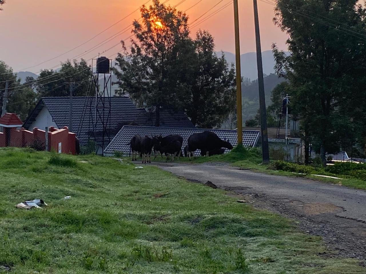 Villa Bisons Retreat