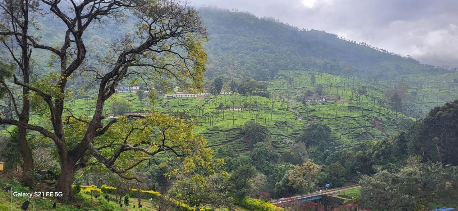 Bisons Retreat Villa Ooty