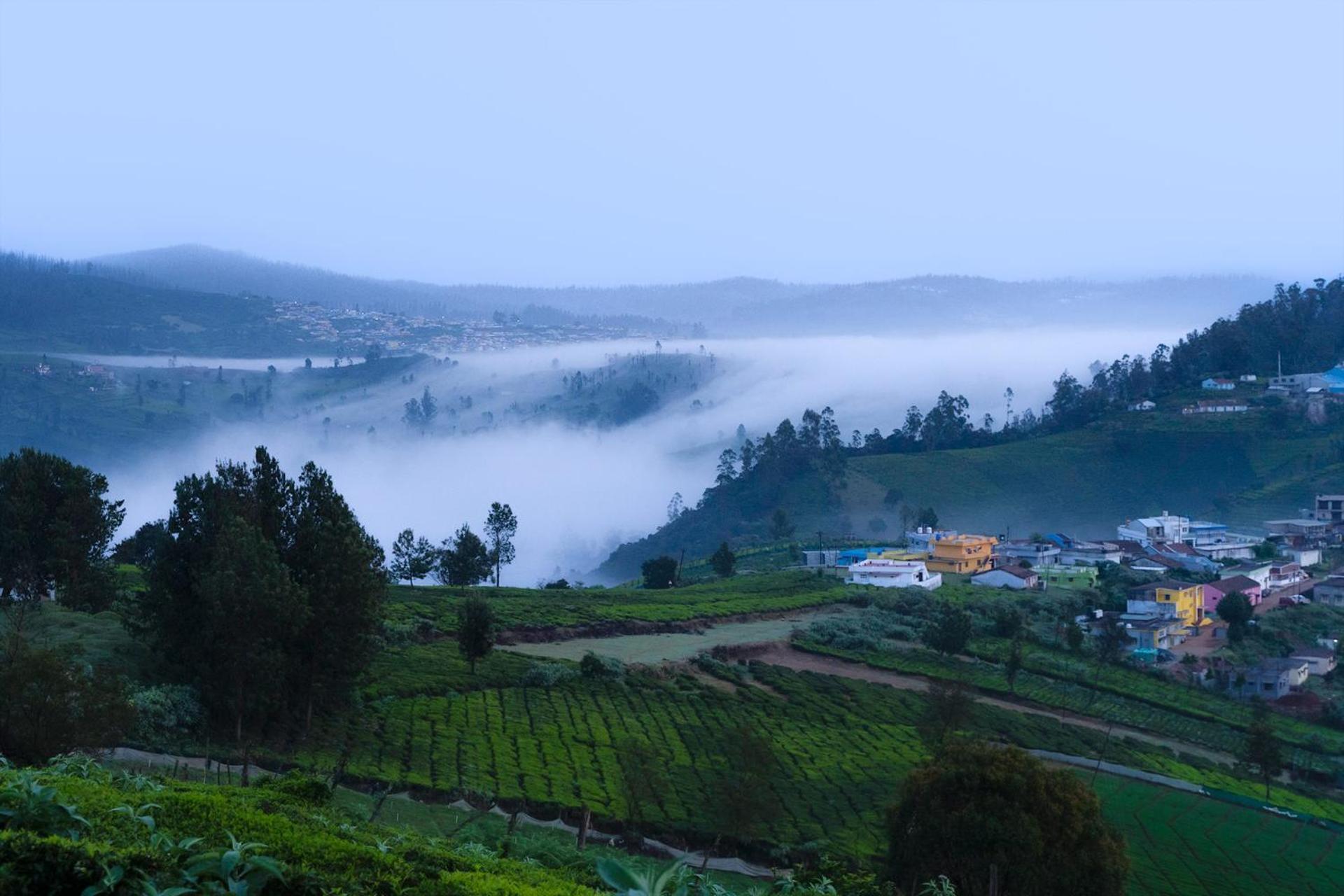 Stayvista At Little Heaven With Breakfast Ooty