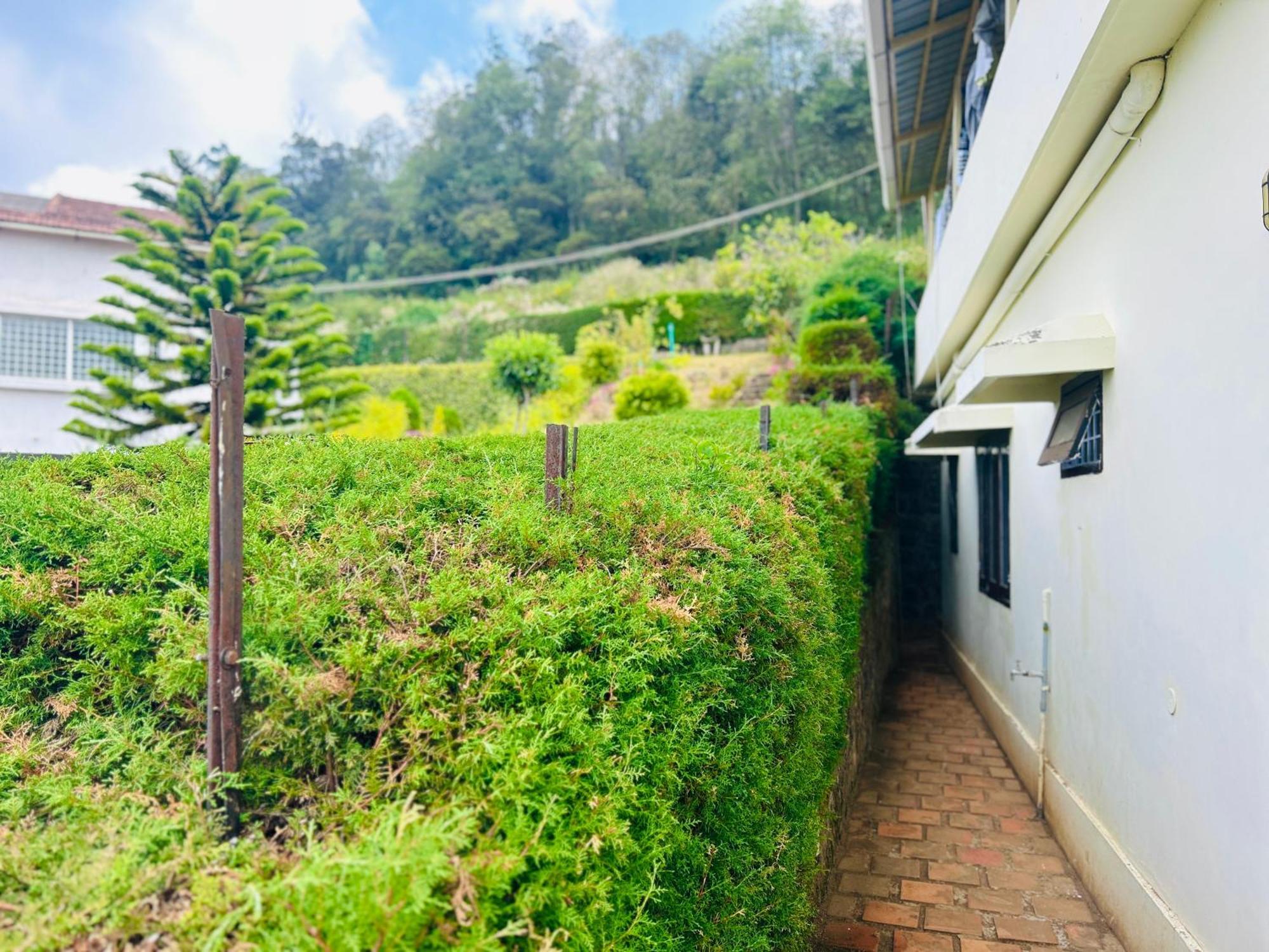 Away From - 1 - In Ooty, * Ooty