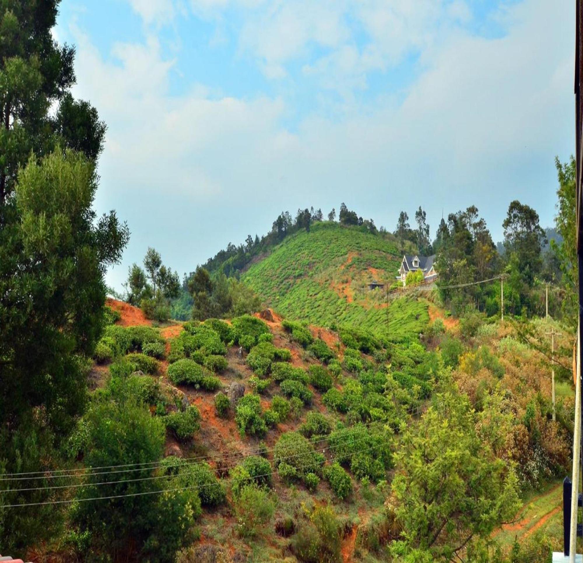 Estay Tiger Hills 2*
