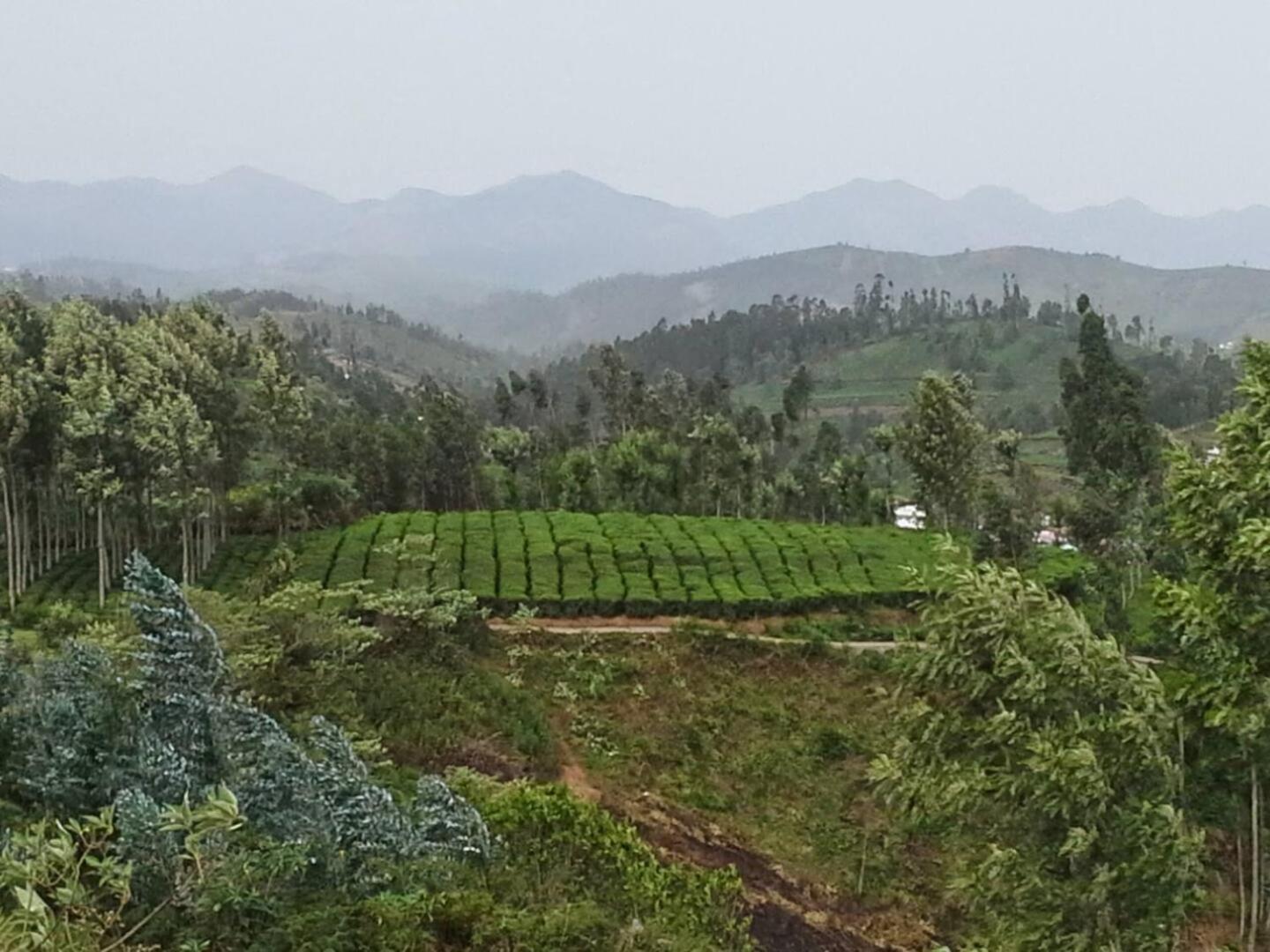 Mountain Ooty