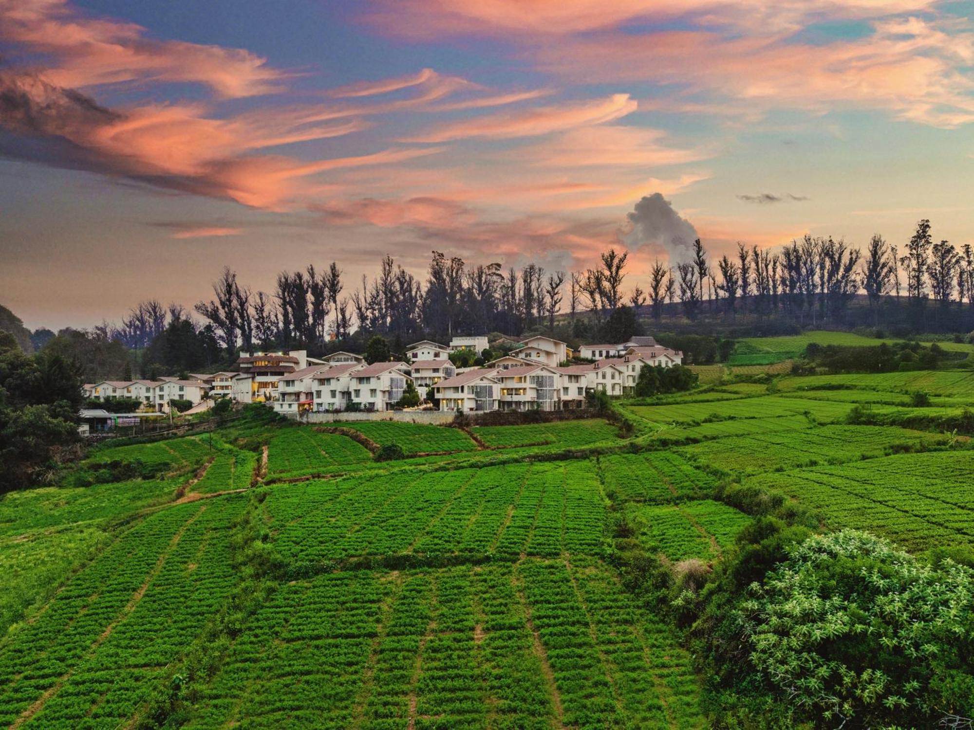 Mango Hill Shola Resort Ooty
