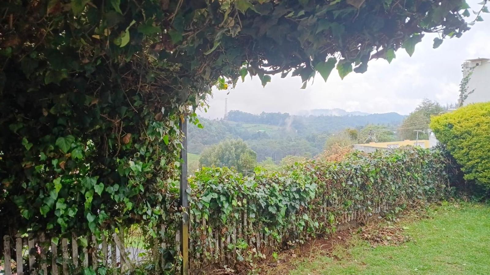 Mystical Medows Ooty