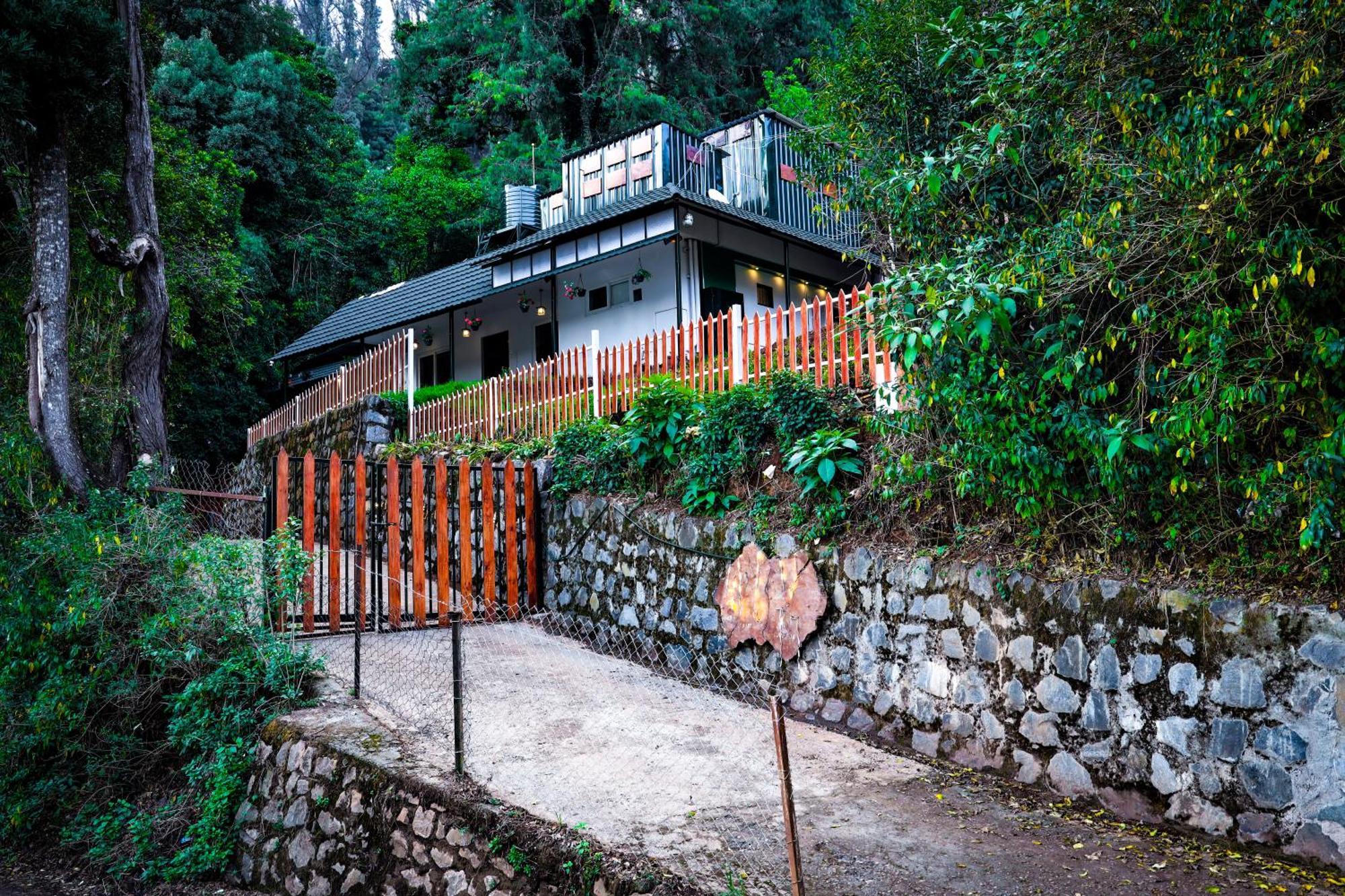 Amber By The Tamarillo Bed & Breakfast