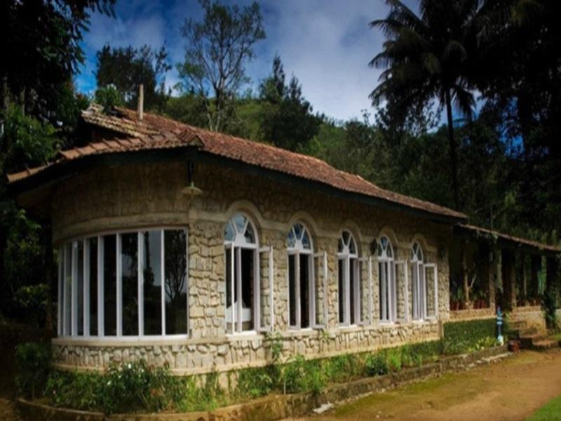 Amberina - Gudalur *