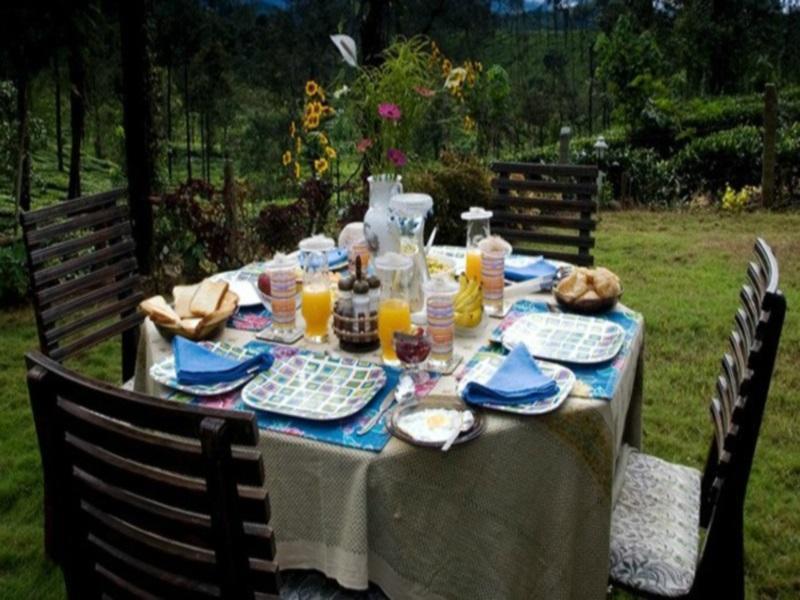 Amberina - Gudalur * Ooty