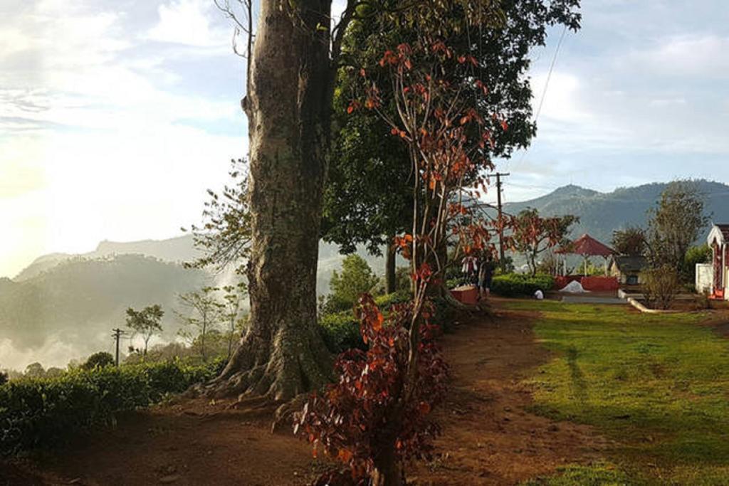 Hotel Cascademeadows -falls View Ooty