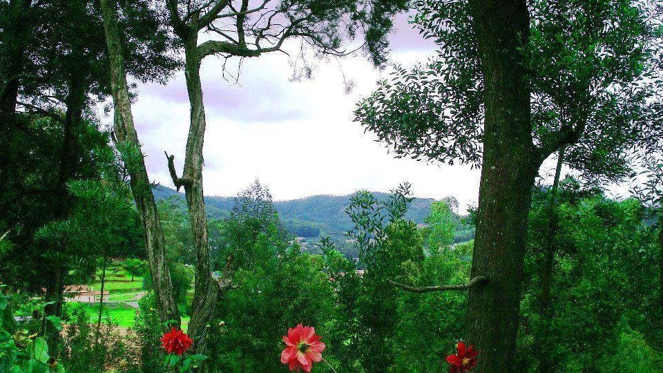 Orion Country house *