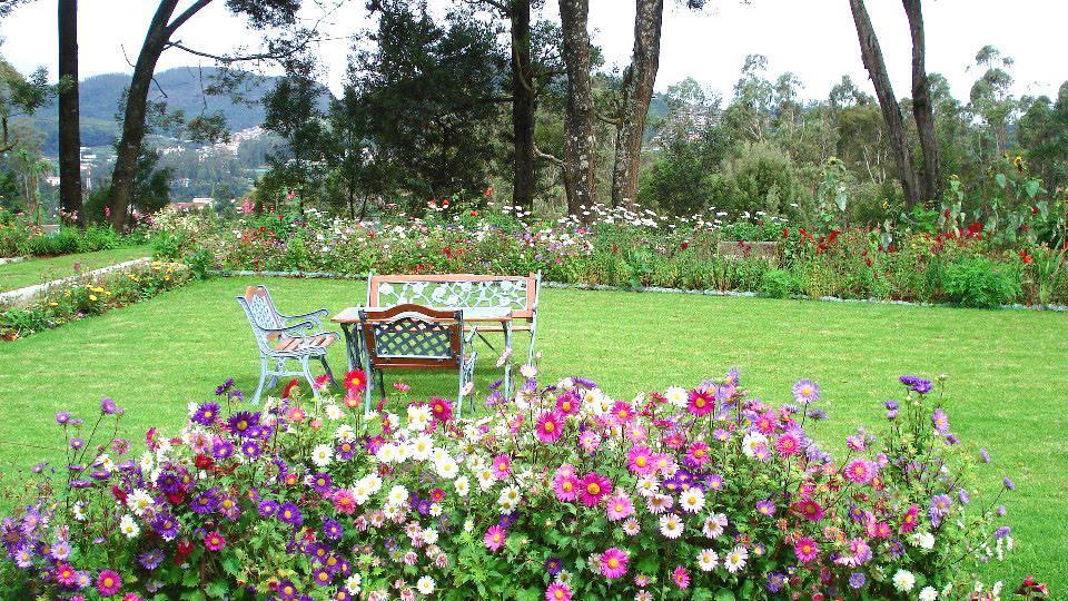 Country house Orion *