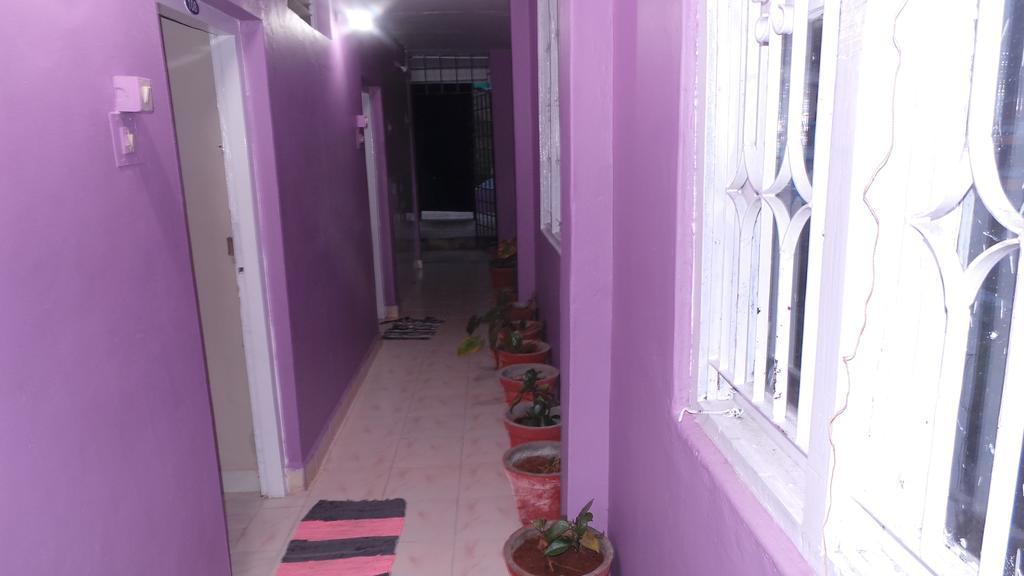Spring Field Guest house *
