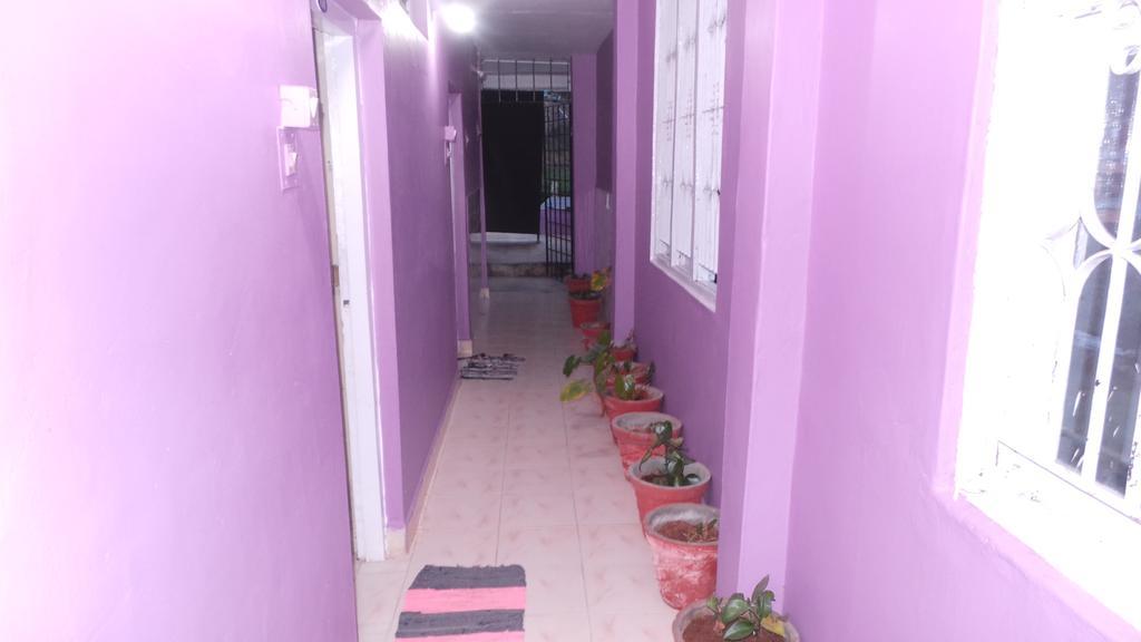 Spring Field Guest house *