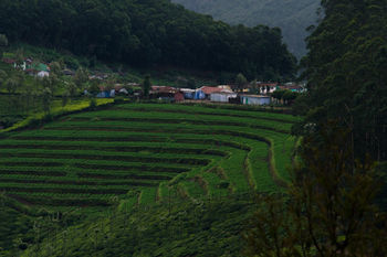 Resort Accord Highland Ooty
