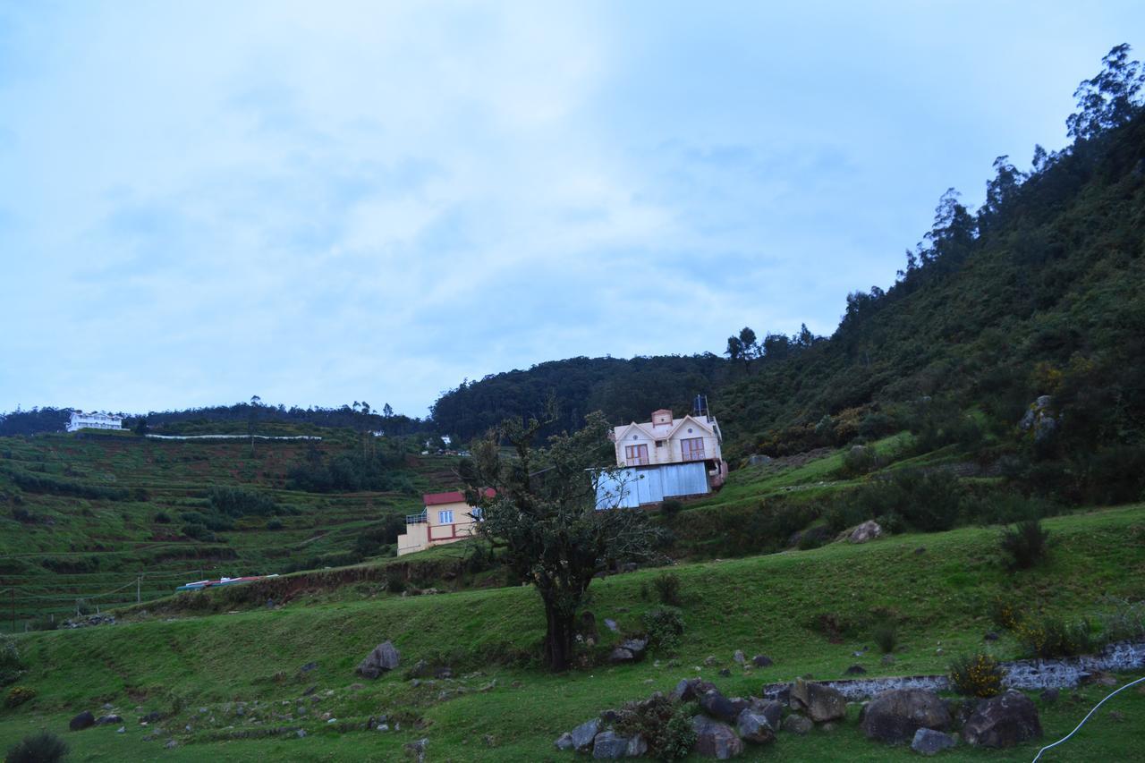 The Conerstayz
