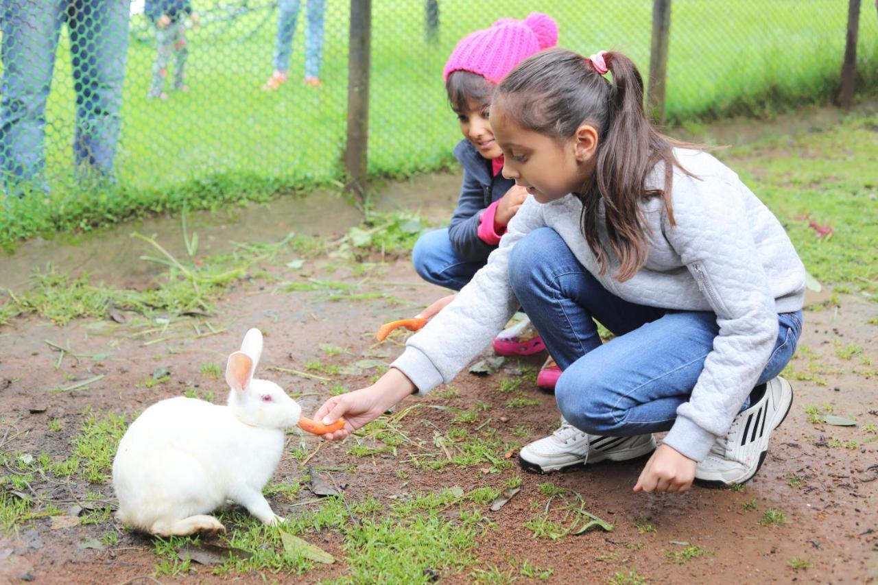 Savoy - Ihcl Seleqtions 5* Ooty