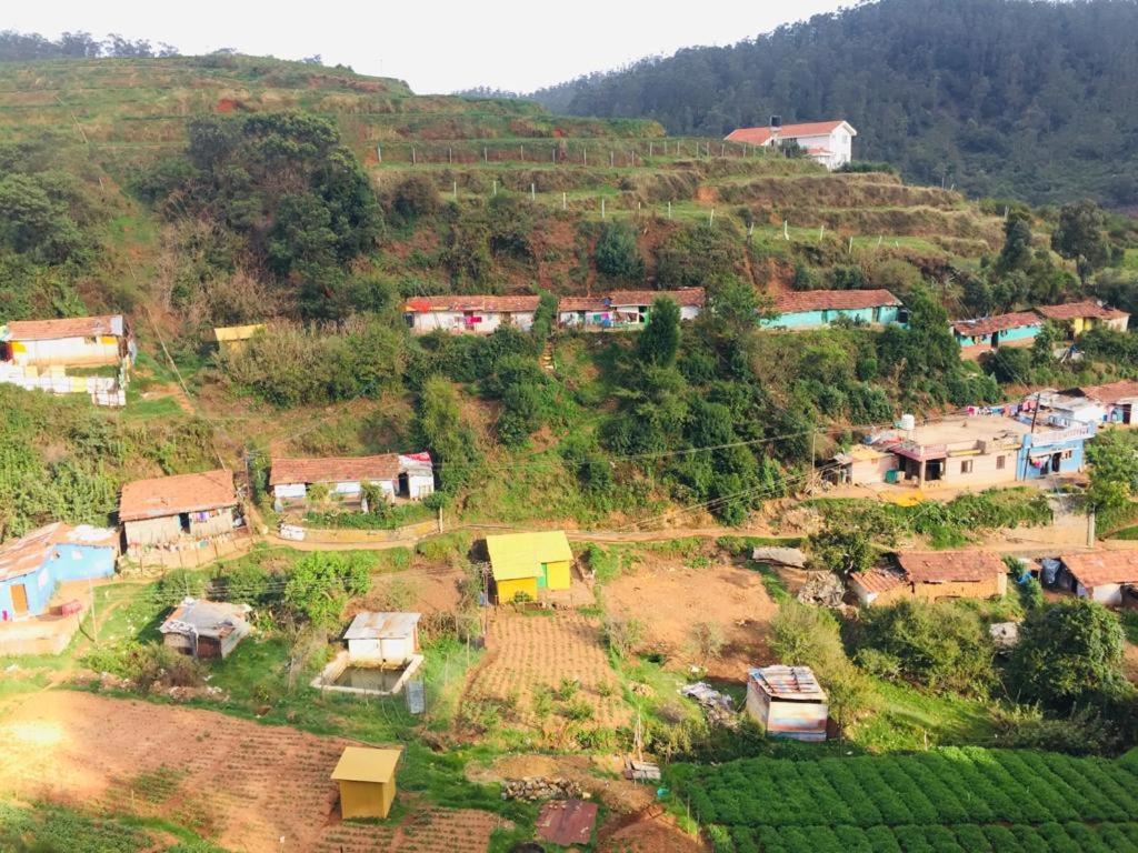 Mountain View Ooty