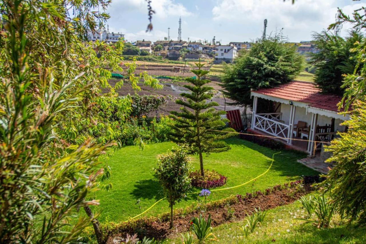 Villa Pine View *