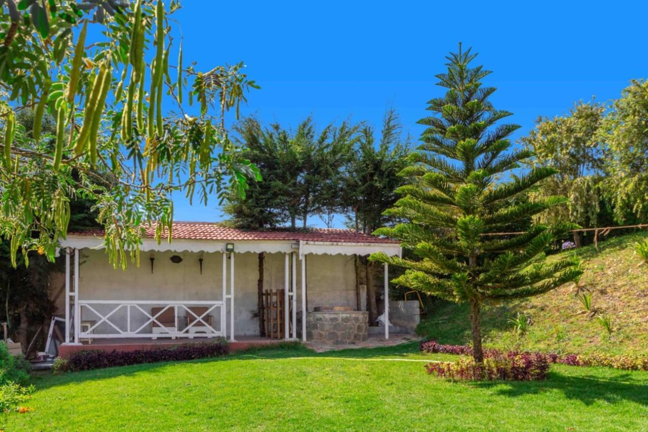 Villa Pine View