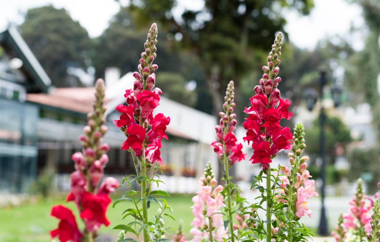 Savoy - Ihcl Seleqtions 5* Ooty