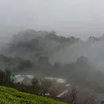 Wild And Free Farm Stay