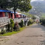 Green County Resort