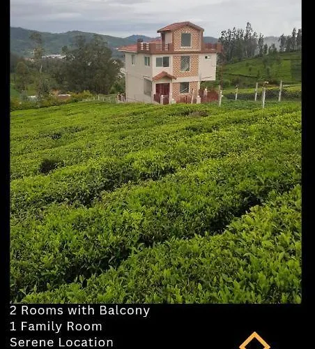 Drizzledale Villa