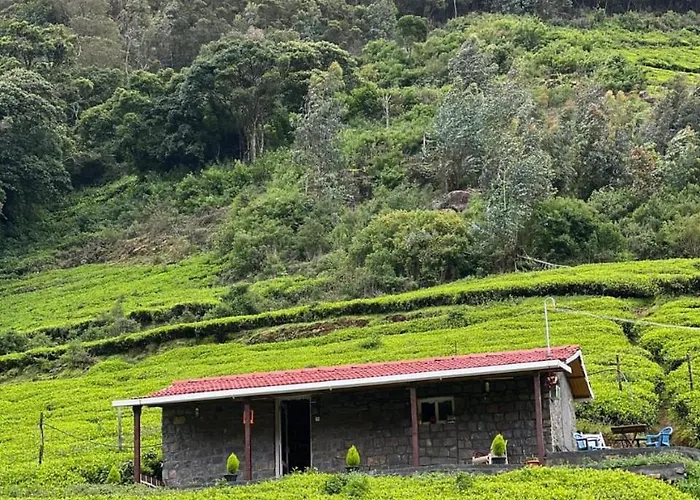 Wild And Free Farm Stay