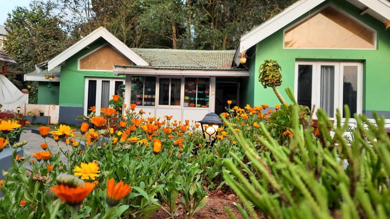 Guest house Green Casa *
