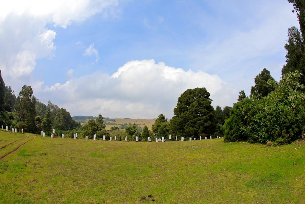 Emarald 3* Ooty