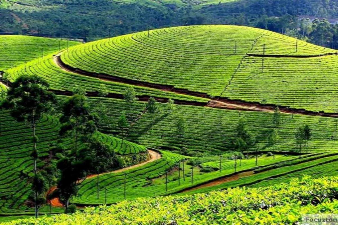 Blusalz Homes - One Lovedale, - Tamil Nadu Villa *