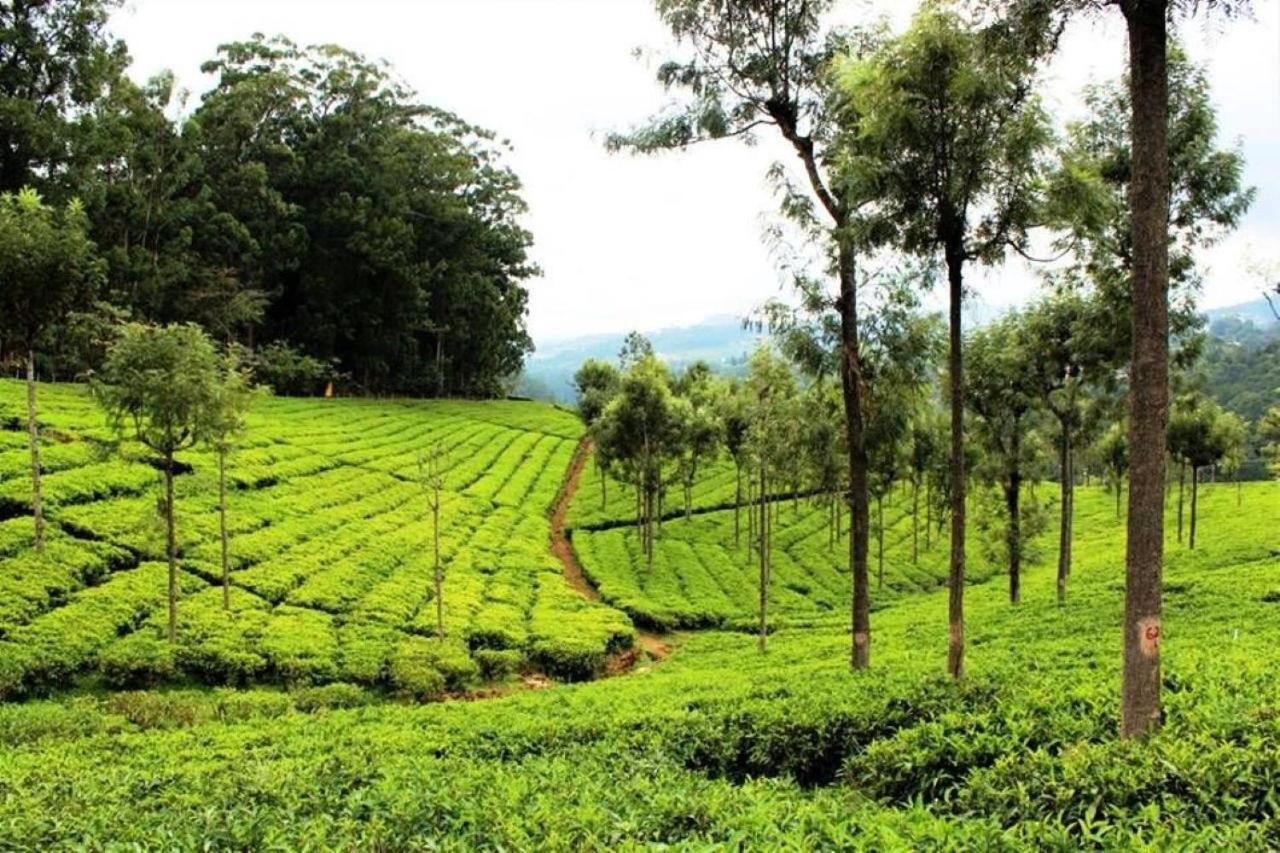 Villa Blusalz Homes - One Lovedale, - Tamil Nadu *
