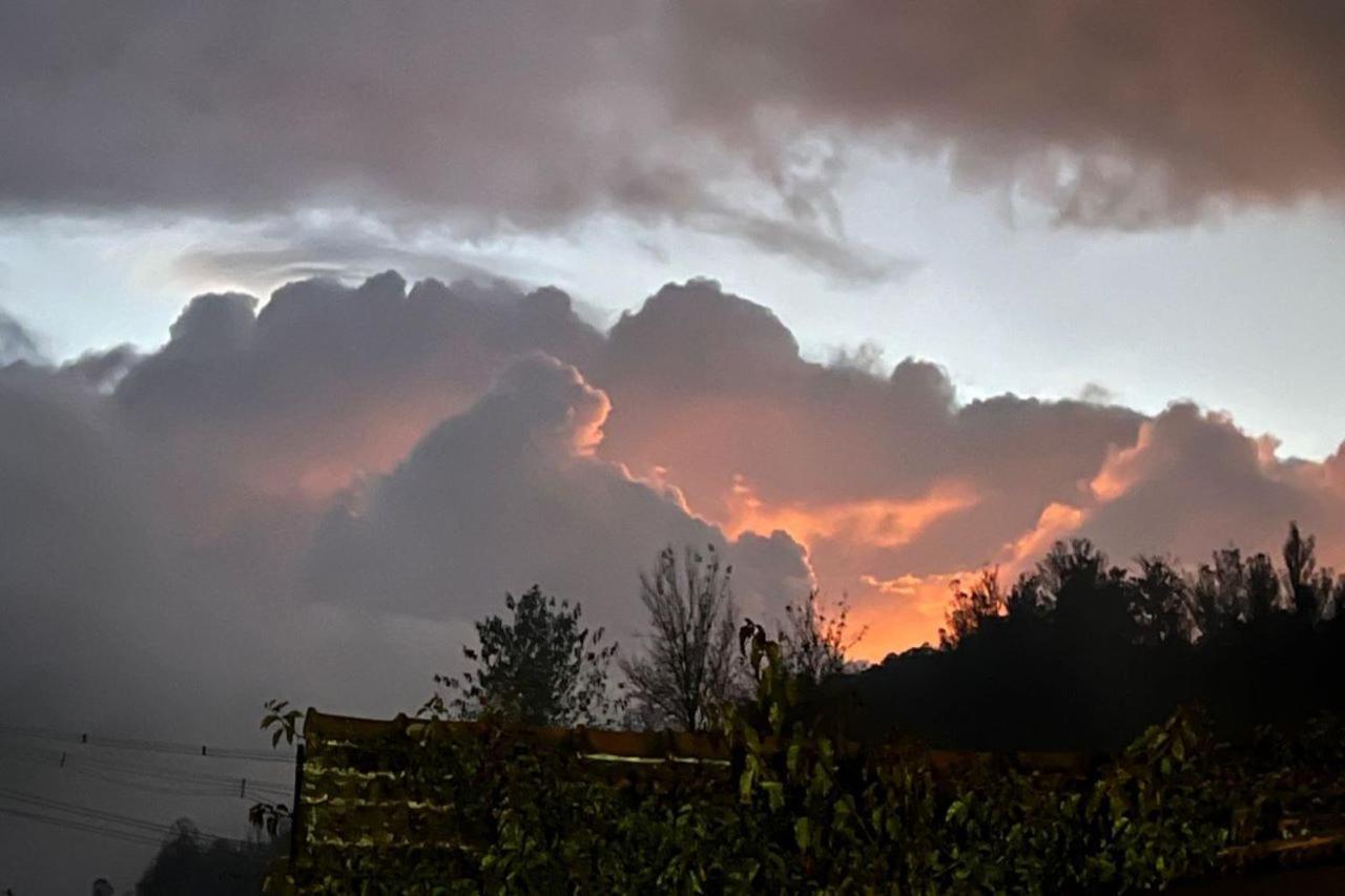 Blusalz Homes - One Lovedale, - Tamil Nadu Villa Ooty