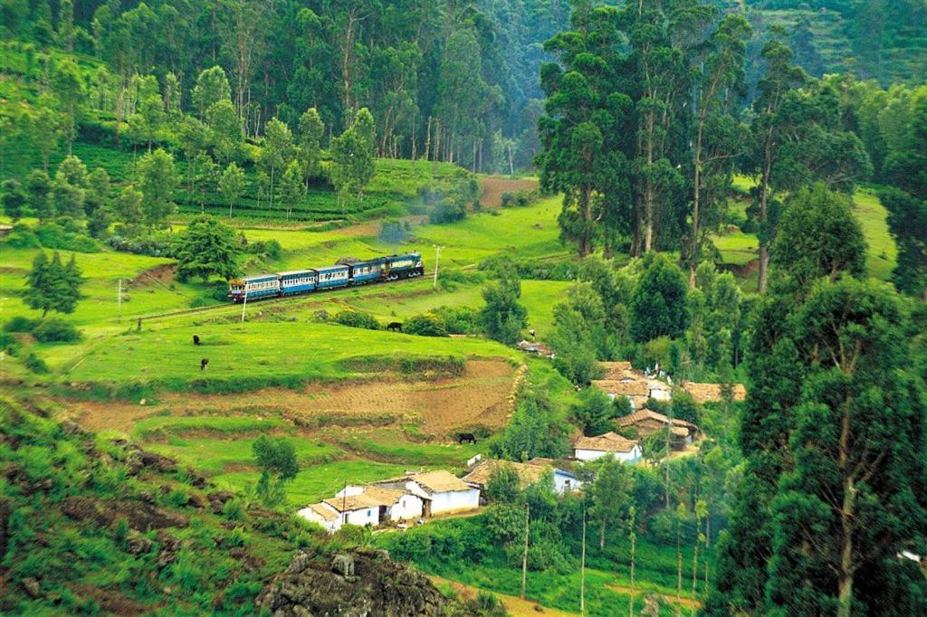 Blusalz Homes - One Lovedale, - Tamil Nadu *