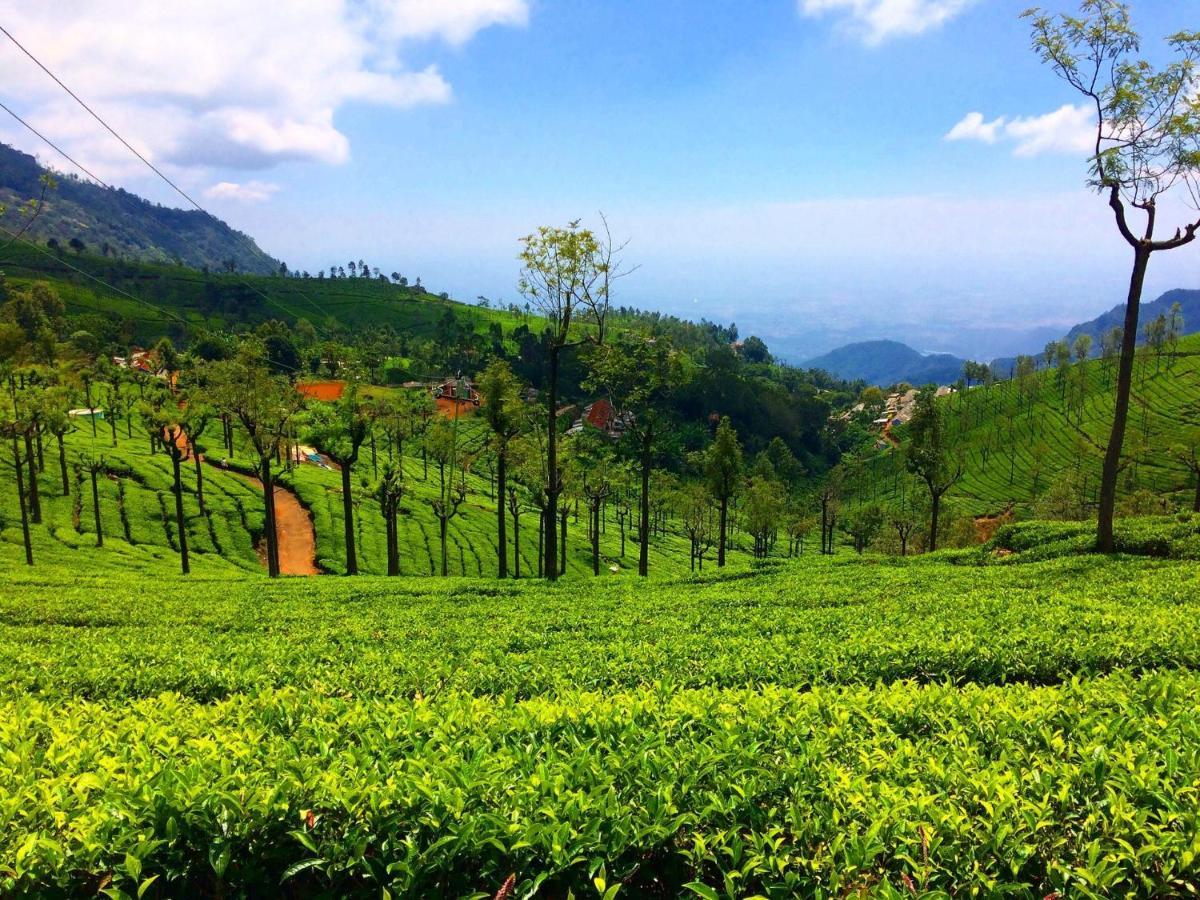 Blusalz Homes - One Lovedale, - Tamil Nadu Ooty