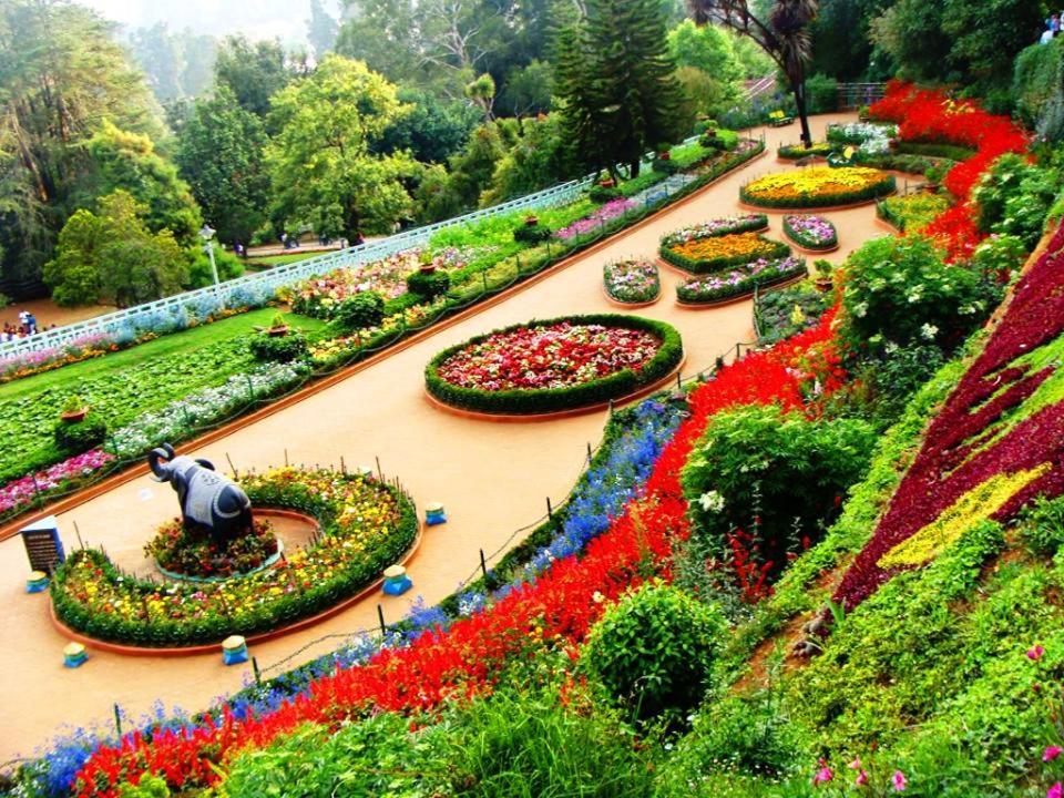 Blusalz Homes - One Lovedale, - Tamil Nadu Villa Ooty